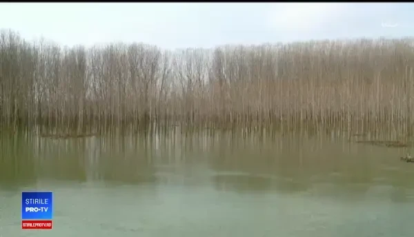 Dunărea a ieşit din matca și ameninţa să inunde mai multe localităţi din Deltă