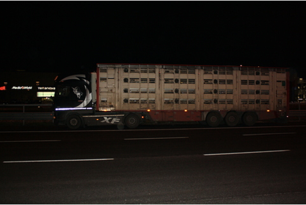 Ororile găsite în camionul unui român de poliţiştii italieni