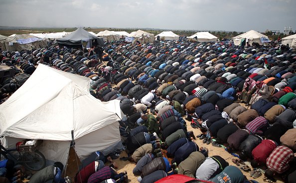 f&acirc;șia gaza - 14