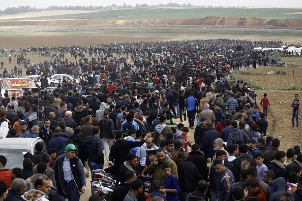 f&acirc;șia gaza - 15