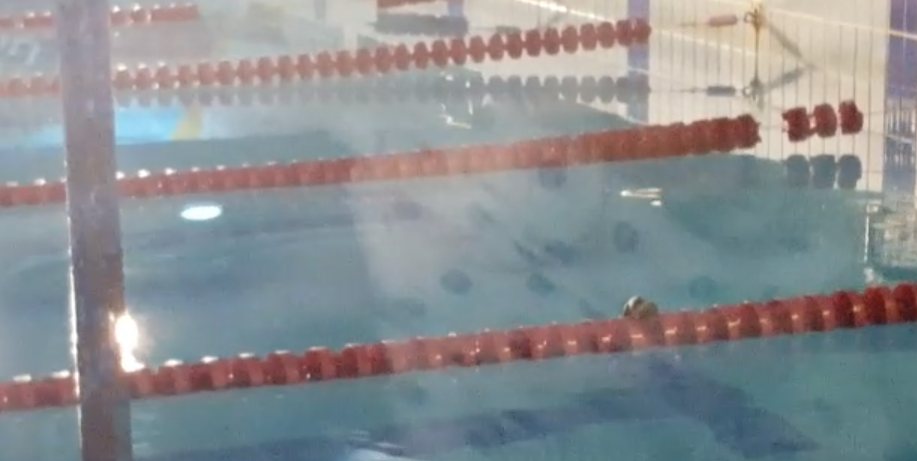 Șobolan filmat în Bazinul Olimpic ”Lia Manoliu”. VIDEO