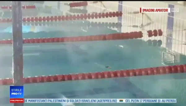 Șobolan filmat în Bazinul ”Lia Manoliu” din Capitală. Angajat: ”O simplă întâmplare. Sunt peste tot”