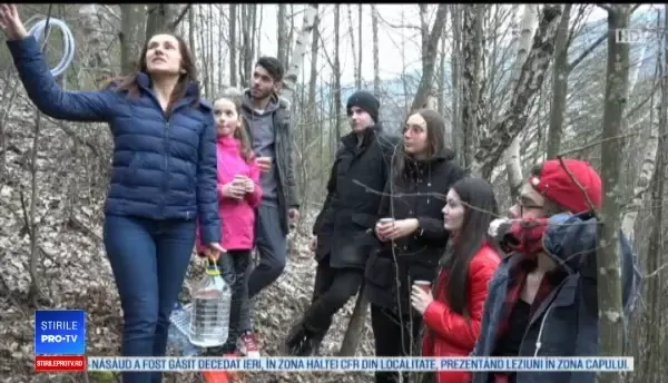 Seva de mesteacăn, remediul miraculos pe care românii îl consumă de sute de ani