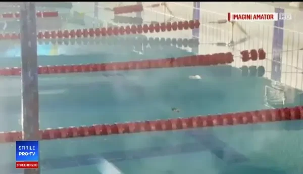 Anchetă la Complexul Sportiv Lia Manoliu, după incidentul cu șobolanul. Ce spun angajații