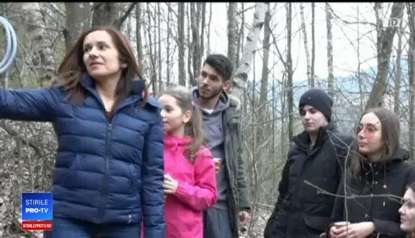 Seva de mesteacăn, remediul miraculos pe care românii îl consumă de sute de ani