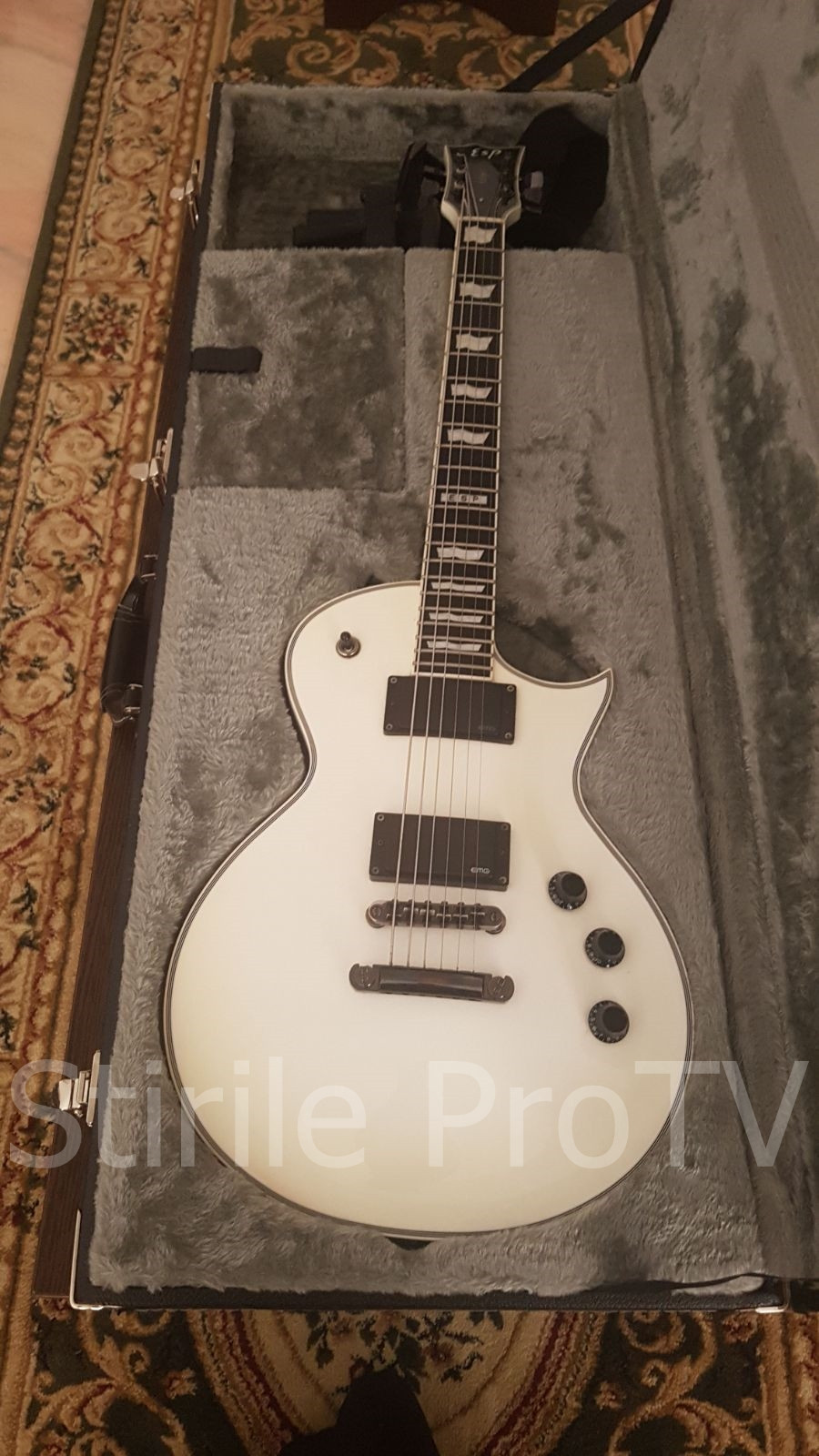 chitara lui Mihai Alexandru de la Goodbye to Gravity