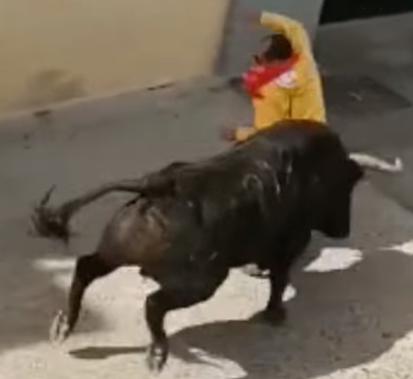 Un bărbat a fost ucis de un taur, în timpul unui festival, în Spania. Imagini șocante