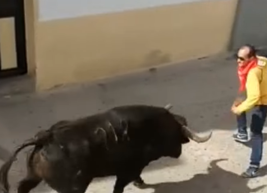 Cursa tauri Spania