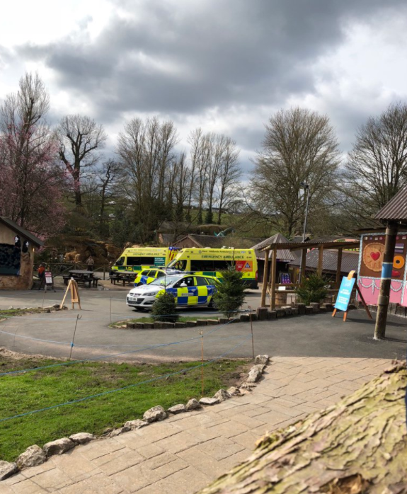 Tragedie la un safari din Marea Britanie. Un bebeluș de două luni a murit