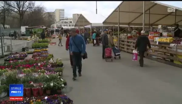 UE va interzice pungile din plastic subțire. Care sunt alternativele supermarketurilor