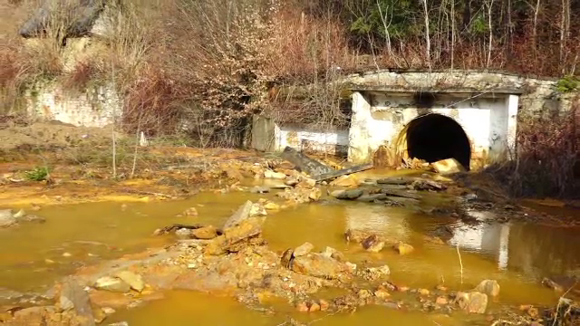 500 de kilograme de pește, azvârlite în râul Lăpuș pentru refacerea faunei