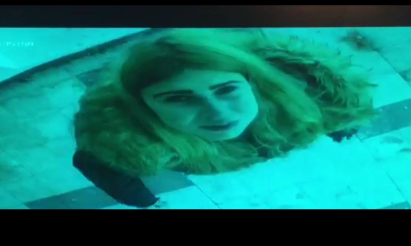 Un hotel din Mangalia oferă recompensă pentru prinderea unei hoațe. Bunurile sustrase