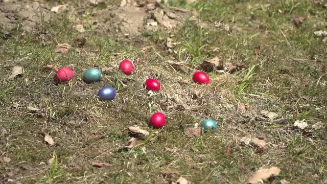 Vânătoare de ouă de Paşte, la Peleş. Preţul uriaş la care poate ajunge unul încondeiat