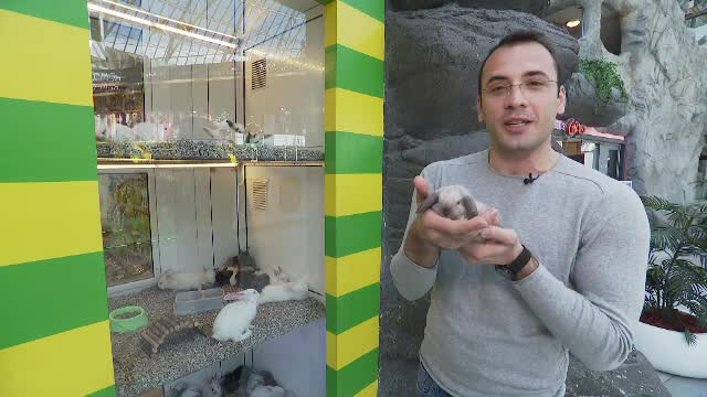 Ce cadouri își doresc copiii de la iepurașul de Paște. Tradiția, împrumutată de la germani