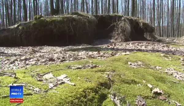 Un bărbat din Argeş s-a trezit cu mascaţii la poartă. Ce ascundea în grajd