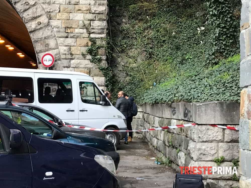 O româncă a murit în Italia, zdrobindu-se de asfalt când hrănea pisicile