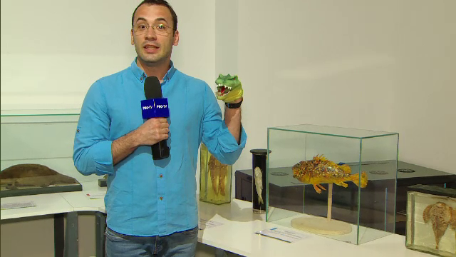 Unde puteți merge cu copiii în Bucureşti, de Paşte. Muzeele deschise duminică