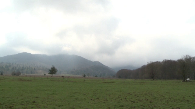 Ținuturile din România unde puteți hrăni cerbii, trage cu arcul sau călări