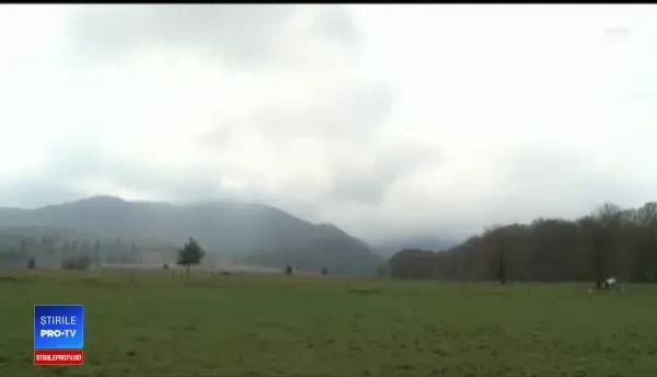 Ținuturile din România unde puteți hrăni cerbii, trage cu arcul sau călări