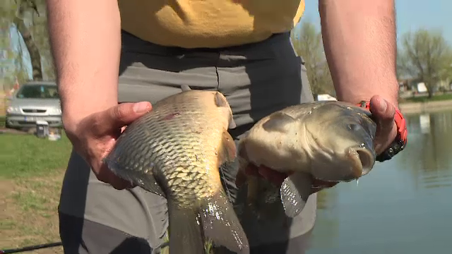 S-a deschis sezonul de pescuit. Tarifele pentru o zi pe lac lângă Capitală