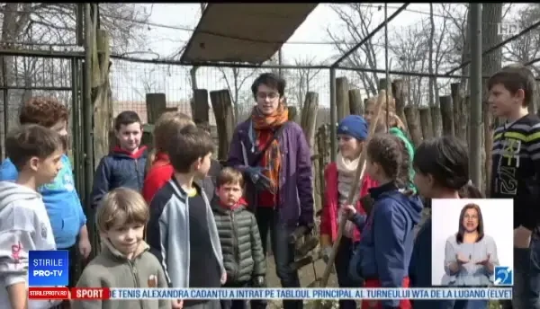 Doi urși coati de la grădina zoologică din Târgu Mureș, în centrul atenției în acest weekend