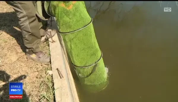 S-a deschis sezonul de pescuit. Tarifele pentru o zi pe lac lângă Capitală