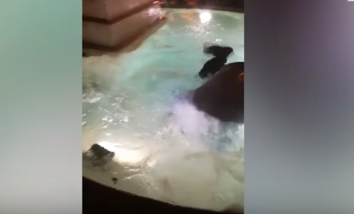 Preşedintele AS Roma s-a aruncat îmbrăcat într-o fântână după ce echipa sa a învins FC Barcelona