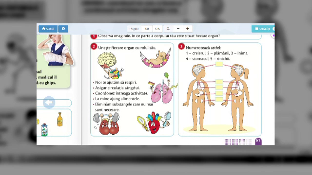 România, pe primul loc în UE în cazul adolescentelor care devin mame. Biserica și părinții se opun educației sexuale în școli