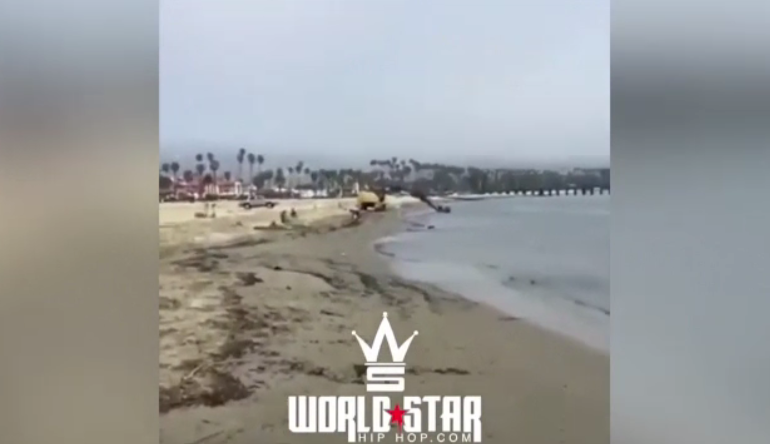 Ce a găsit un tânăr care își plimba câinele pe o plajă din Santa Barbara. A filmat totul