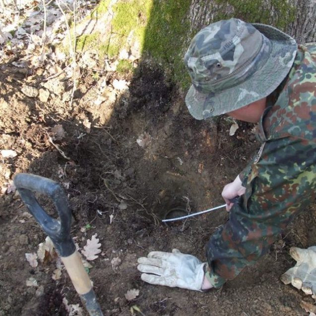Descoperirea făcută de un bistrițean, de Paște, în timp ce se plimba prin pădure