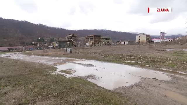 Economie. Caut strategie