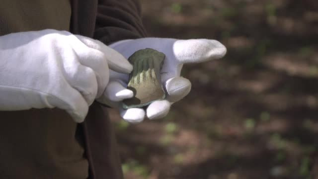 Topor vechi de 3.500 de ani, la Băicoi. Primarul speră că e din vremea fondării oraşului