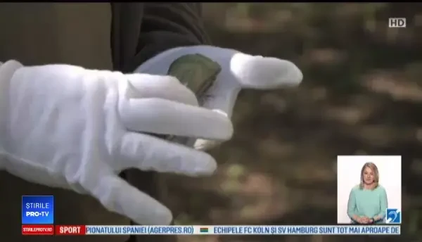 Topor vechi de 3.500 de ani, la Băicoi. Primarul speră că e din vremea fondării oraşului