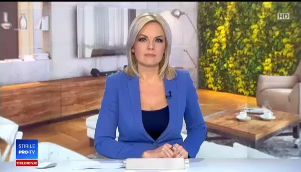 Cât te costă să-ți decorezi pereții casei cu plante, licheni și mușchi