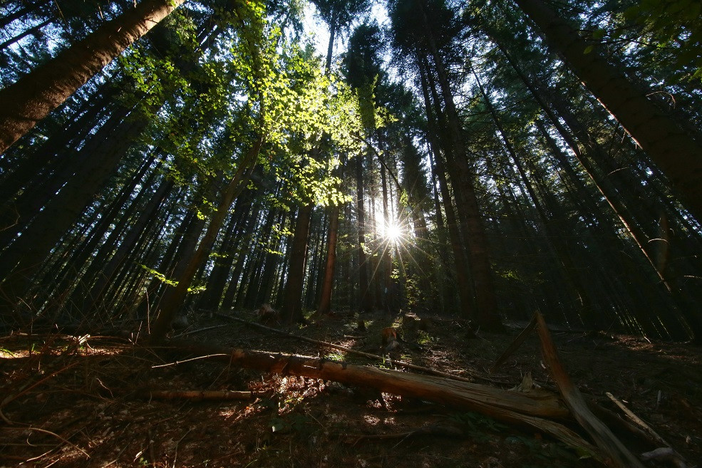 Turişti rătăciţi pe Penteleu, după ce au plecat după un aparat foto uitat în urmă