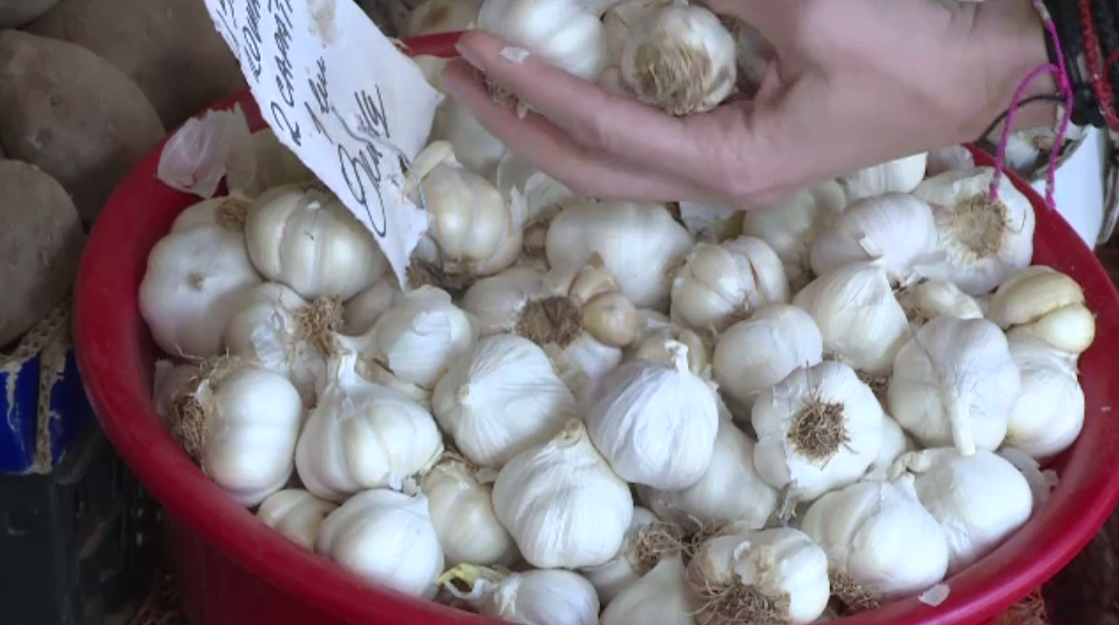 Proiect: Sprijin financiar de 1.000 de euro/ha pentru cultivatorii de usturoi