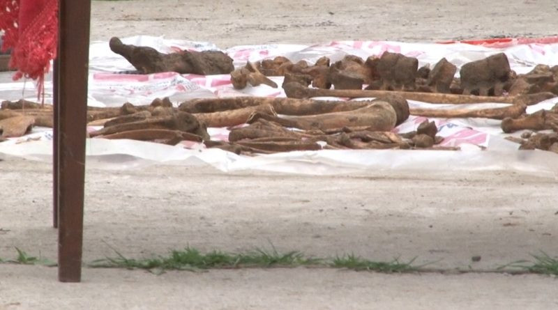 Oseminte umane, descoperite în curtea unei case din Dâmbovița. Polițiștii au deschis o anchetă