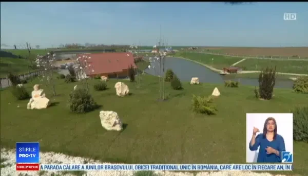 Asistații social ar putea fi obligați să presteze muncă necalificată și în mediul privat