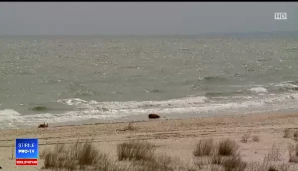 Unde puteți consuma cel mai bun pește: Sincer vă spun, mie îmi plouă în gură