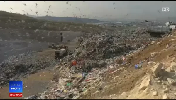 Descoperire uriașă în lupta împotriva poluării: enzima-mutant care mănâncă plasticul