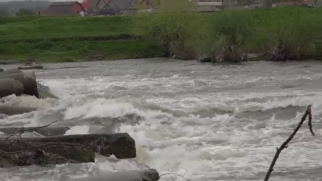 Trupul unui bătrân, găsit în râul Mureș. Polițiștii încearcă să descopere dacă a fost ucis