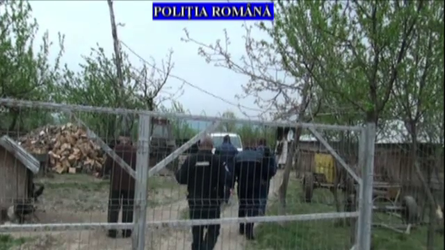 Patru bărbați din Prahova, suspectați că furau lemne în sistem elaborat. Cum operau