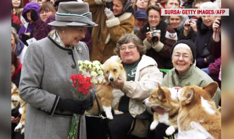 Regina Elisabeta, întristată de moartea câinelui ei, Willow