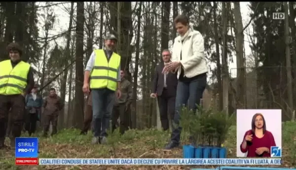 Castelul Peleș și-ar putea recăpăta strălucirea pe bani europeni