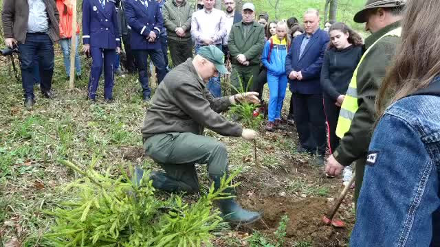 Pădure distrusă de vijelii, refăcută cu ajutorul elevilor şi poliţiştilor