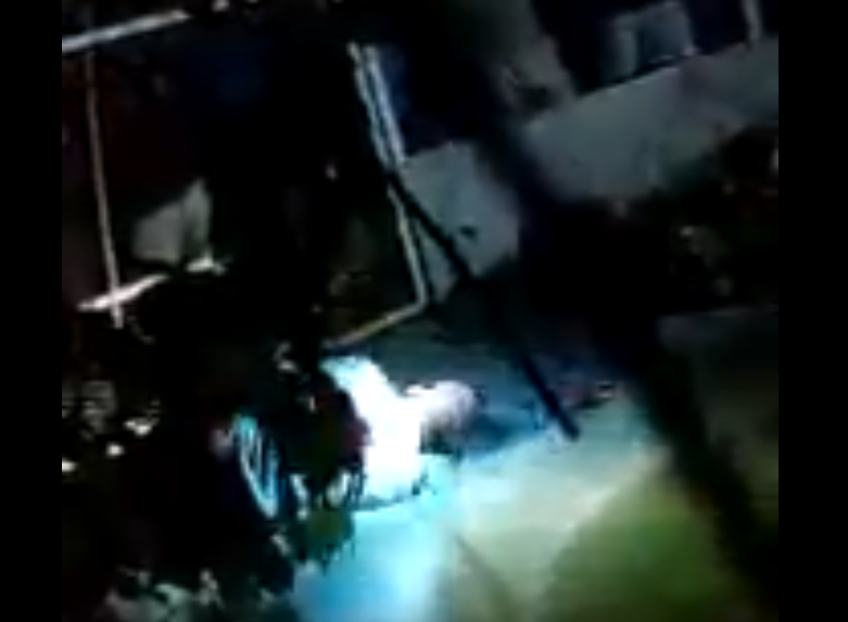 Un violator a fost aruncat la crocodili în Mexic. Reacţia poliţiei. VIDEO