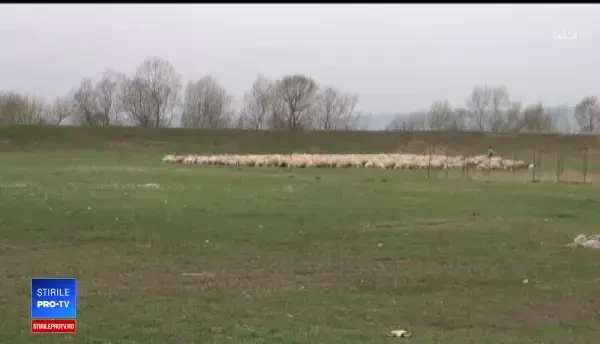 Tânăr, ucis de prieteni, care apoi au vrut să însceneze un accident feroviar