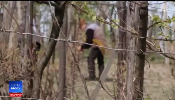 Bărbat din Iași, găsit mort în fântână. S-ar fi sinucis