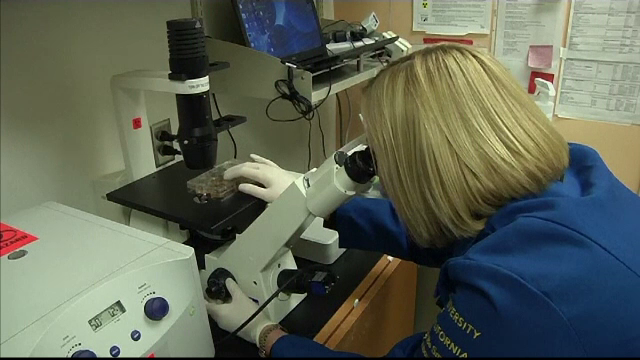 Cercetătorii sunt tot mai aproape de o descoperire revoluționară în domeniul reproducerii umane