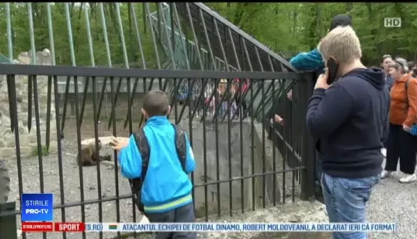 Un pui de urs, în vârstă de 3 luni, a devenit vedeta grădinei zoologice din Târgu Mureş